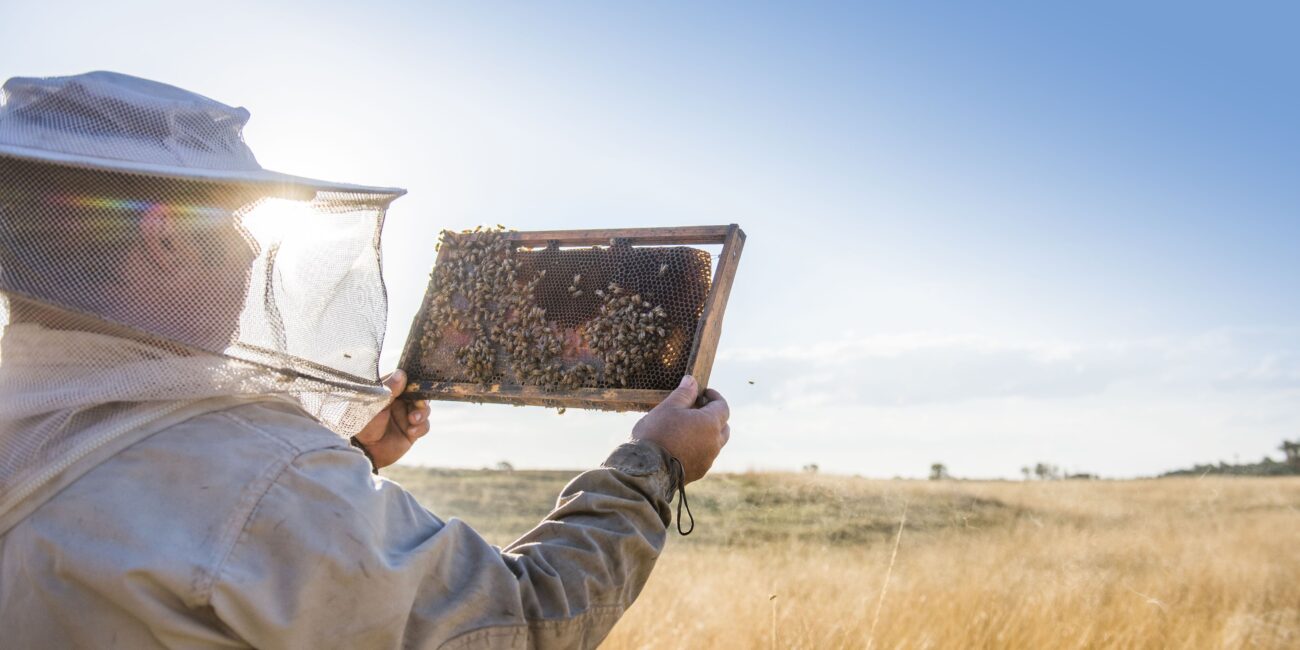 beekeeper Australia