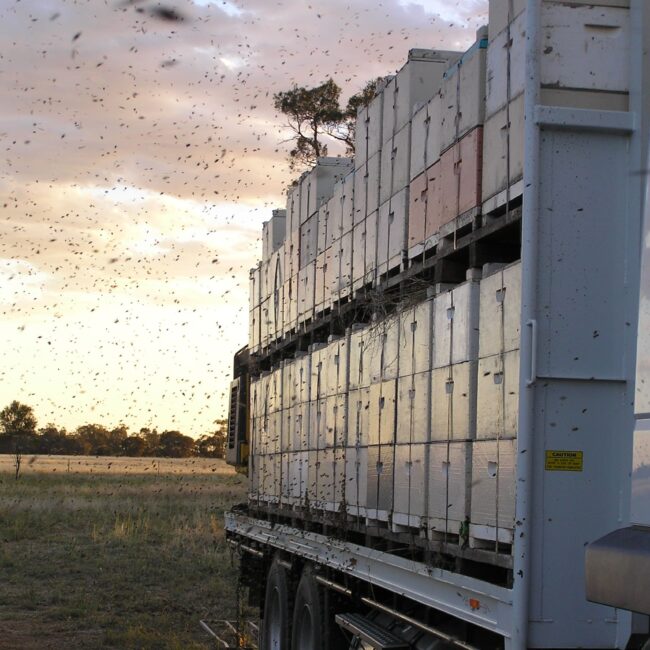 manuka honey transportation