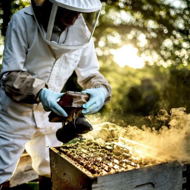 beekeeper