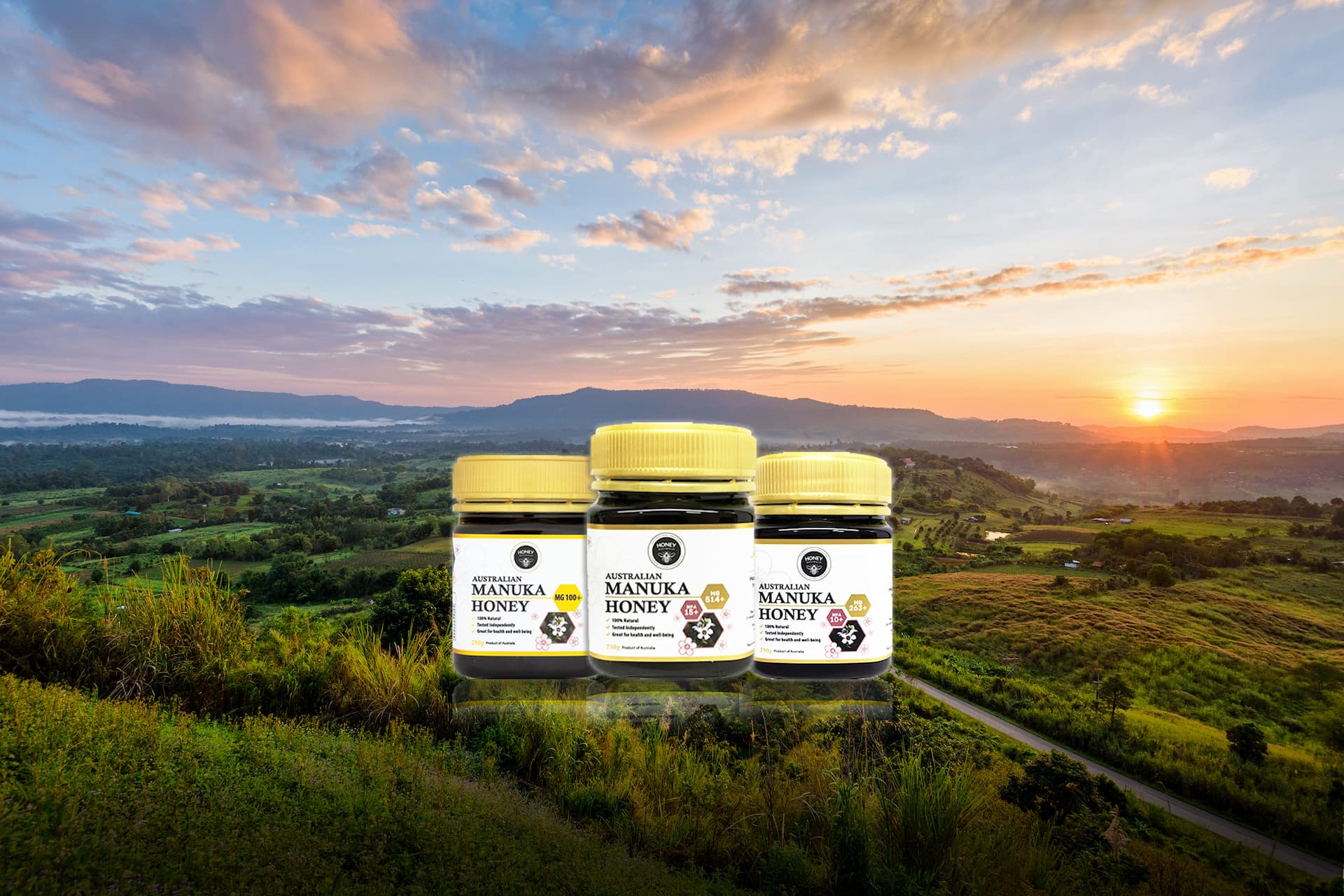 Australia Manuka honey