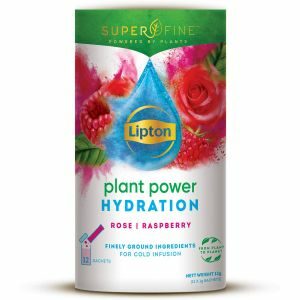 Lipton Superfine Rose Raspberry 12 pack